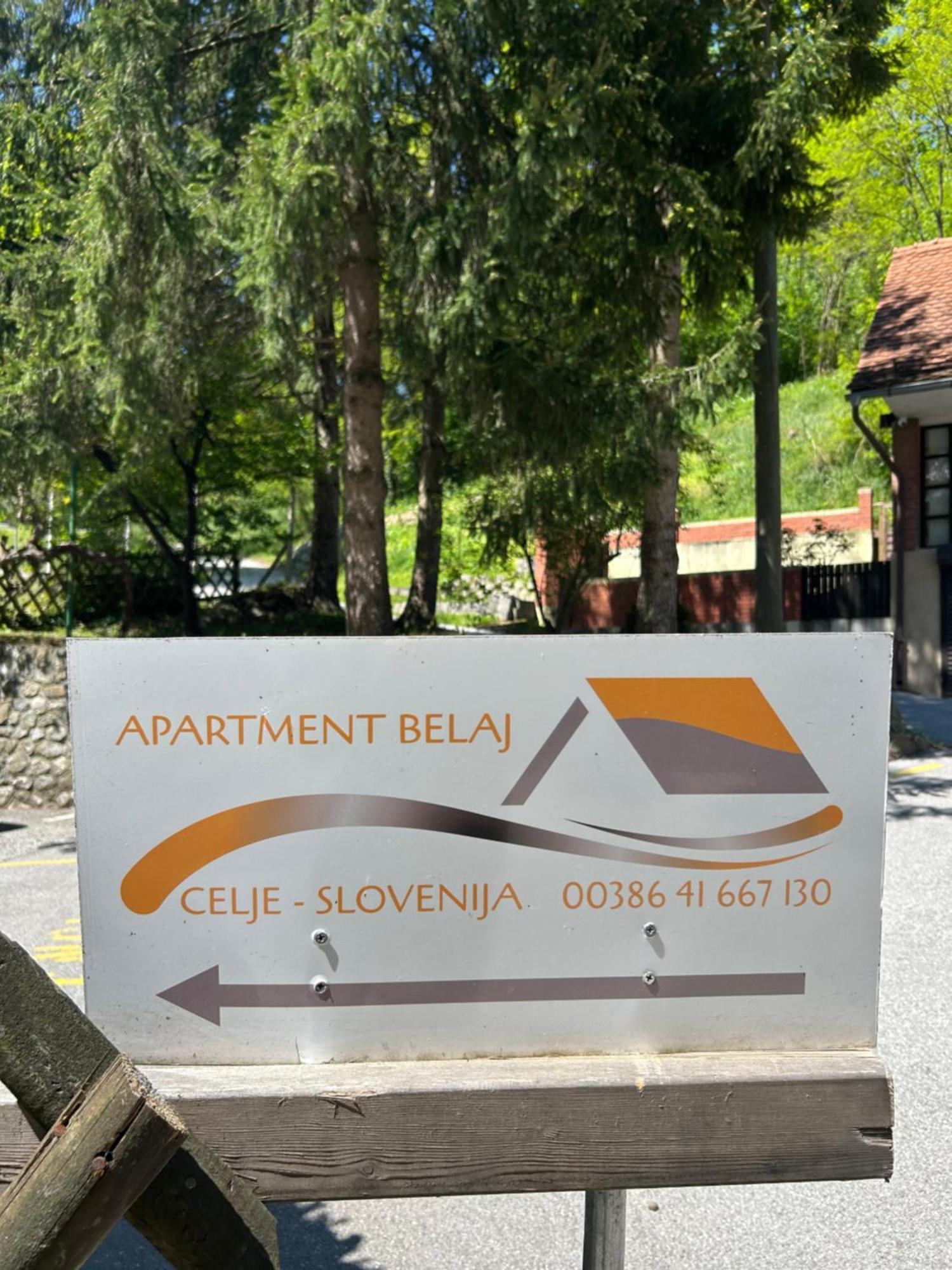 Apartment Belaj Celje Exteriér fotografie